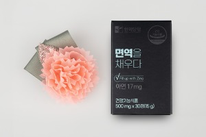 쉬폰카네이션(분홍)+아연 세트